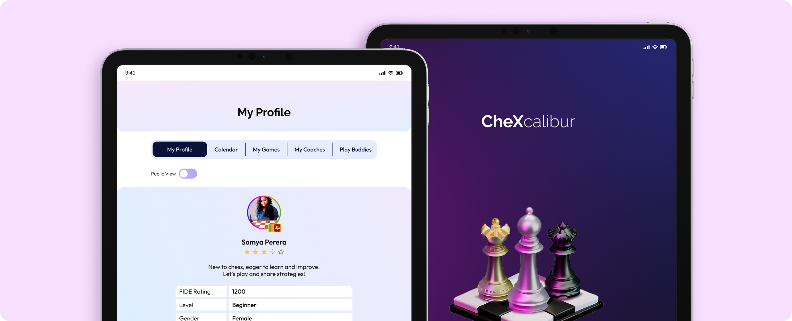CheXcalibur screenshot 4